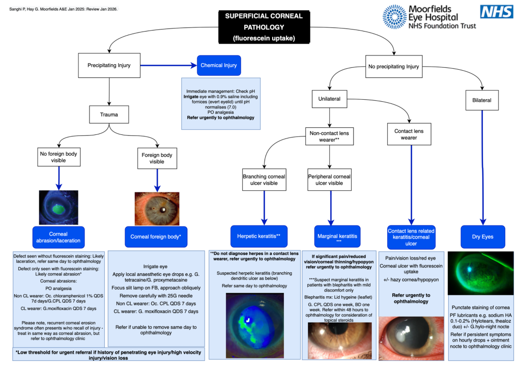 Multiple Eye Classification Images Management of Common Eye Conditions – GP Gateway