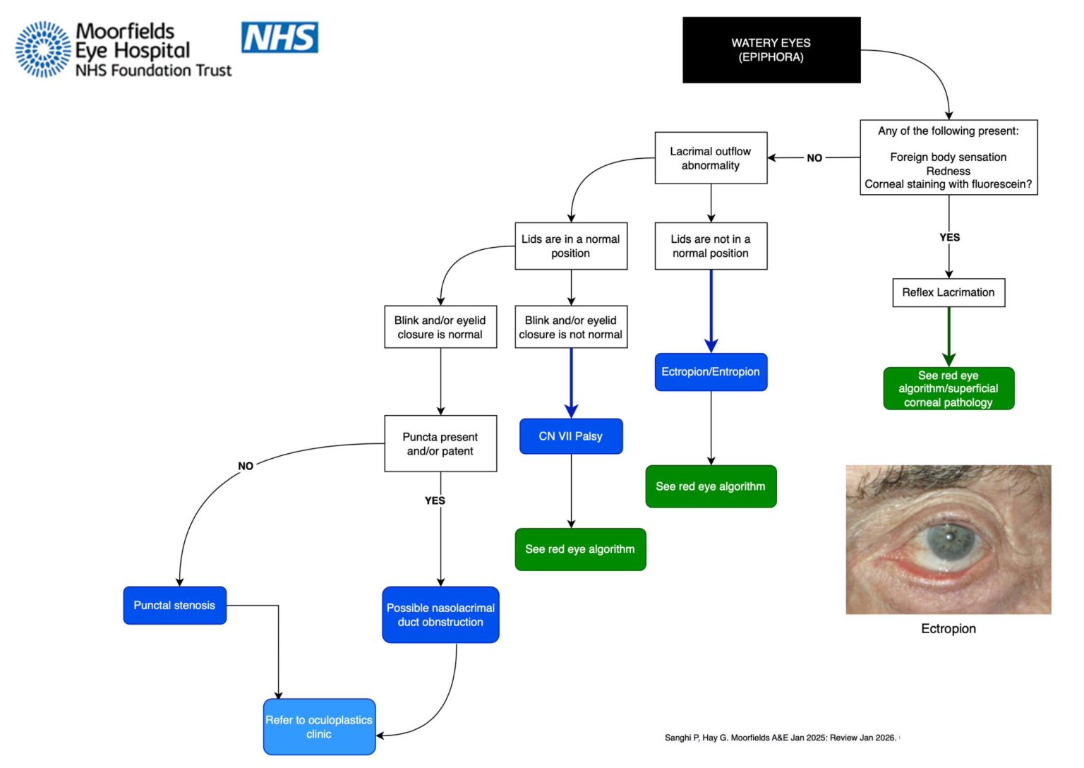 Management of Common Eye Conditions – GP Gateway